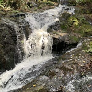 Cachoeira